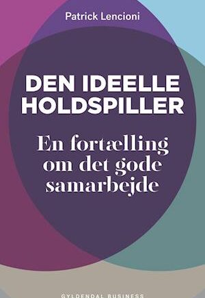 Den ideelle holdspiller - Patrick Lencioni - Bog