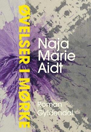 Øvelser i Mørke - Naja Marie Aidt - Intens Roman